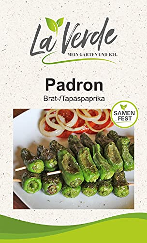 Pimientos de Padron Paprikasamen Grün