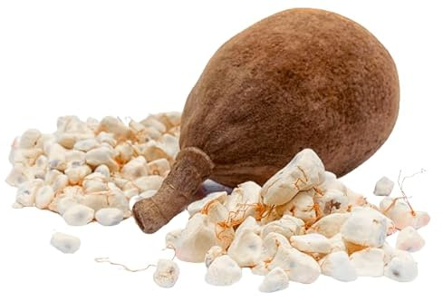 Whole Baobab Pod with Natural Sweet-Sour Pulp, Fresh Edible Fruit (Whole Baobab Pod)