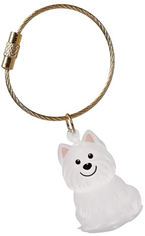 Gramigg Boîte commémorative pour poils de chien avec boîte de présentation transparente - Boîte de rangement pour poils d'animaux domestiques - Récipient pour cendres de souvenirs