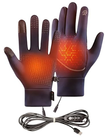 USB Heated Gloves for Men and Women Touchscreen Electric Heated Gloves 3 Levels Adjustable Temperature Thickened Plush Heating Glove Washable Touchscreen Knitted Thermal Winter Gift (Blue, XL)