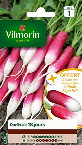 Vilmorin 3882041 Radis, Rouge, 90 x 2 x 160 cm