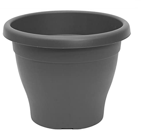 Acan Pamex Pot de fleurs en plastique méditerranéen Gris 10 litres 30 x 24 cm (diamètre x hauteur) Idéal pour intérieur et extérieur