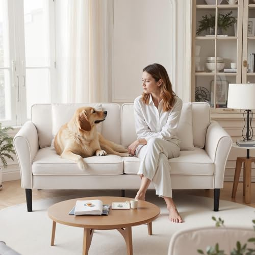 VEVOR Loveseat Sofa, 69-Inch Small Sofa Couch for Living Room, Velvet Fabric 2-Seats Couch with Sinuous Spring, Soft Cushions and Sturdy Frame, Comfy Loveseat for Bedroom, Office or Apartment, White