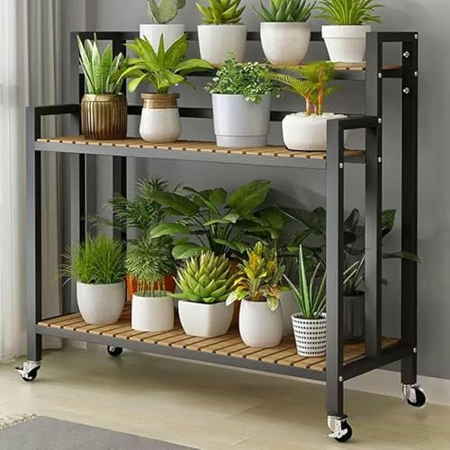Support de plantes en métal avec roulettes verrouillables à 3 niveaux pour pot de fleurs - Étagère d'angle style escalier pour salon et balcon - Noir (100 cm)