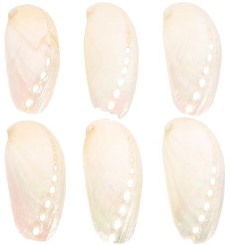Angoily Lot de 6 Coquilles D’ormeau Naturelles 4-6 Cm, Décoration Bord de Mer et Mariage, Accessoire Photo Solide en Nacre pour Aquarium et Déco Intérieure, Style Plage Élégant