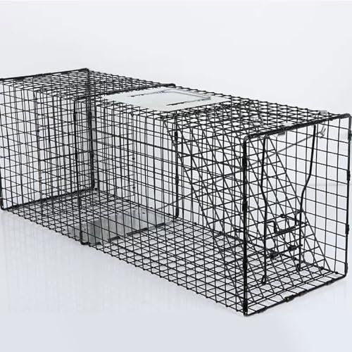 Piège Pliable pour Animaux Vivants, Piégeage sans Tuer, Piège pour Petits Animaux, pour la Libération sans Cruauté des Rongeurs(Black,M)