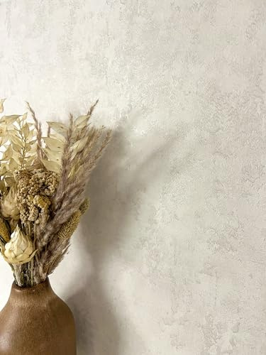 Newroom Tapete Creme Vlies Betonoptik - Industrial Loft Putzstruktur Metallic Glanz für Wohnzimmer Schlafzimmer