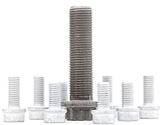 Corteco 80004916 Gurt-Verteilung