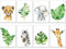 artpin® 8er Set Bilder Kinderzimmer Mint Deko Junge Mädchen - A4 Poster Babyzimmer - Safari Dschungel Wandbilder Afrika Tiere - Porträt Elefant Tiger Giraffe Zebra (P37)