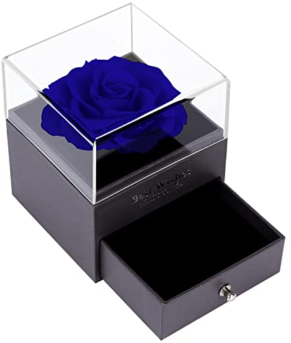 TAIYOU Ewige Echte Rose Geschenkbox mit Kette Konservierte Rose 925 Sterling Silber Sonne Damen Halskette für Sie Valentinstag Muttertag Jahrestag Geburtstag - Blaue Rose
