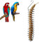 Parrot Food Fruits Basket, Stainless Steel Feeding Bird Cage Device Parrot Feeder Food Basket, Millet Sprays for Birds, Vegetable Holder Bird Foraging Toy For Parakeet Cockatiel Conure