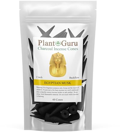 Egyptian Musk Charcoal Incense Cones 2 BACKFLOW - 60 Pack Bulk - Natural Scented Cones Handmade Hand Dipped