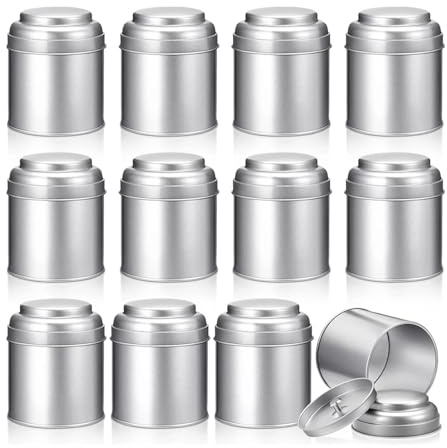 ZNTIHZ 12 st tekanna med lufttäta dubbla lock för förvaring av lösa blad, 237 ml kök liten burk och behållare för kaffesocker för köksförvaring och organisation (12 st silver)