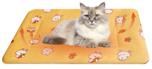 KASESSS Kattfilt 57 × 37 cm, tvättbar liten hundfilt utan elektricitet, kattfiltar, bilvärmande kattmatta för inomhus- och utomhusbruk