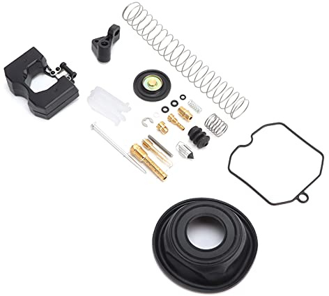 CFTGIW Set di Riparazione Carburatore, Kit di Revisione Carburatore 23 Pezzi per CV40 2742199C CV 40, Realizzato in Metallo e Gomma di qualità Superiore, Installazione Semplice,