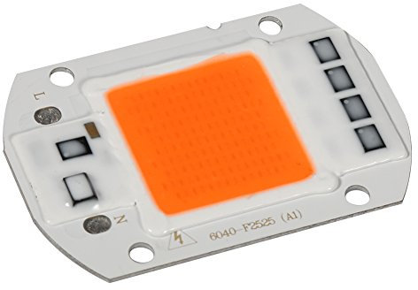 50W Full Spectrum Warm/White Led COB Chip Grow Light Growth Lamp Garden Hydroponic Plant for Indoor Plants Seeding Veg Bloom Hydroponic Growing Lamps