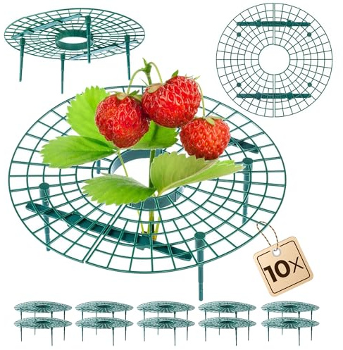 KADAX Supporti per fragole 30 cm, 10 pezzi, protezione per fragole, fragoliera in plastica, protezione per fragole, protezione contro le lumache per piante di fragole, griglia per fragole