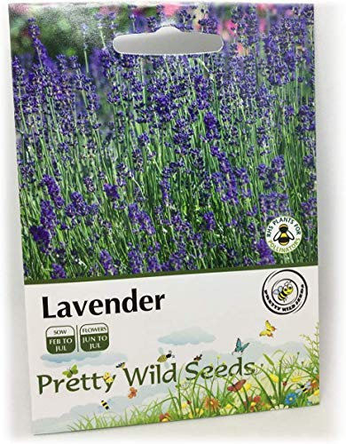 Lavender Seed Packet Contains 1g Lavendula Angustifolia Hidcote Blue Seeds