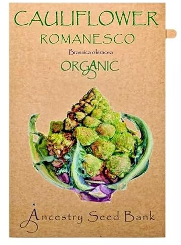 Organic Cauliflower ❁ Romanesco ❁ 50 Seeds Heirloom - Non GMO