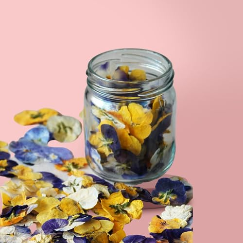HUA MALOO : Magie de violettes - Mélange de fleurs de violettes comestibles séchées - 2 g/environ 100 fleurs - Parfait pour la décoration de gâteaux, cupcakes, desserts