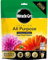 AMK® Miracle Gro All Purpose Plant Food Tablets Continuous Release Pack 35 Fertiliser Feed for Pots Baskets Containers Easy Use 6 Month