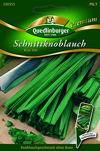 Schnittknoblauch Kiss me - Allium tuberosum QLB Premium Saatgut Zwiebel und Lauch