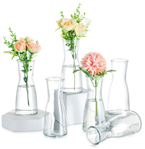 Hewory Kleine Vasen für Tischdeko Hochzeit: 6 Vase Glas Vasen Klein Tischdeko für Hochzeitsdeko - Modern Blumenvase Glas Kleine Glasvasen Flower Vase Schmal für Wohnzimmer Brautparty Wedding Esstisch