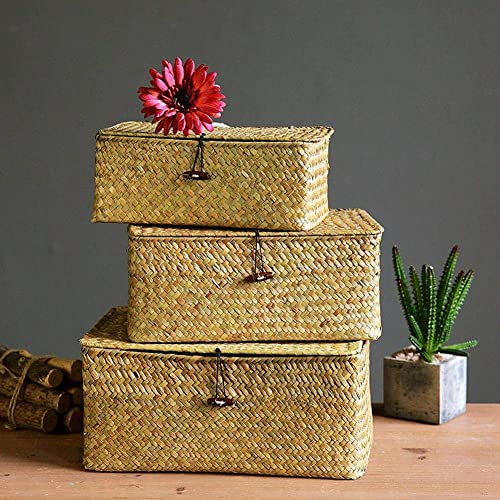 YSGLIFE Set di 3 Cesto Portaoggetti con Coperchio Rettangolare in Rattan Vimini Intrecciato Seagrass Multiuso Scatole Organizer per Vestiti Trucco Libri e Scaffali (Naturale, P/M/G)