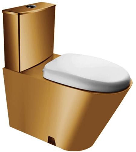 SaryEdge Toilettes en Acier Inoxydable 304, Toilettes commerciales avec réservoir d'eau, Toilettes à Double Chasse d'eau à Siphon Haute efficacité, siège de Toilet(b