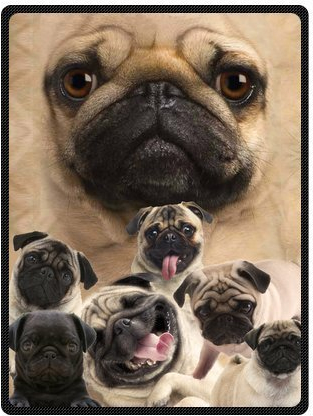 YISUMEI Blanket 125 x 150 cm Cuddly Blankets Soft Flannel Soft Fleece Blanket Bed Throw Comfortable Pug Dog