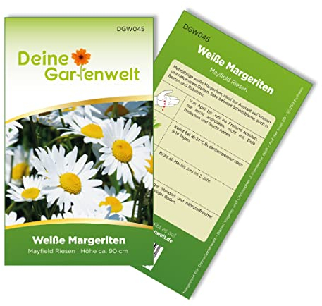 Margerite weiß Samen - Chrysanthemum maximum - Margeritensamen - Blumensamen - Saatgut für 80 Pflanzen