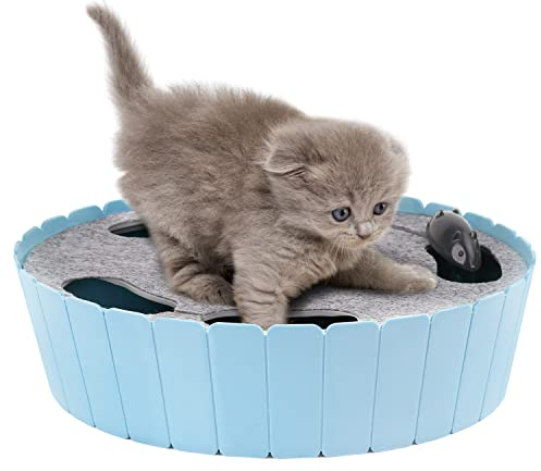 Pawaboo Katzenspielzeug Elektrische Maus, Interaktiv Kätzchen Spielzeug Katzenbett Kratzmatte Katzenminze, Süß und Sicher Spielzeug Spielball für Kleine Katze Spiel Beißen Kauen - Blau
