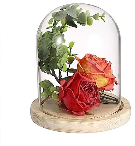 SUMTree Cloche en Verre avec Socle en Bois Cloche de présentation Transparent avec Base en Bois Naturel décoration pour Fleurs, Cristal, Collection (16x14cm)