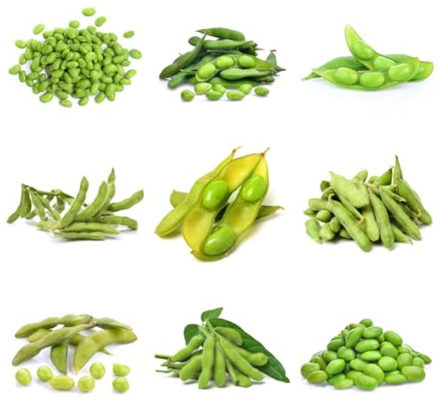 semi di edamame, fagiolo invernali resistenti per il giardino da balcone in serra da giardino resistenti perenni 25pcs