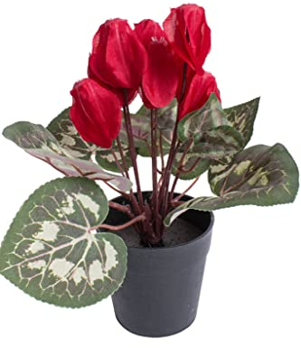 Botanic-Haus künstliches Alpenveilchen (Cyclamen) im schwarzen Kunststofftopf (rot), 24 x 20 cm, 1 Stück, NATÜRLICH REALISTISCH, KÜNSTLICHE BLUME IM TOPF