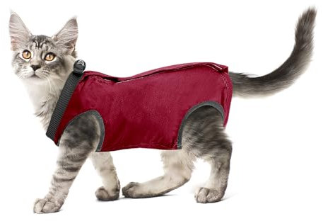 cobee Professioneller Genesungsanzug für Katzen bei Bauchwunden oder Hautkrankheiten, Kätzchen, Chirurgie, Genesungsanzug, E-Halsband-Alternative für Katzen und Hunde, nach Operationen (Größe L, Rot)