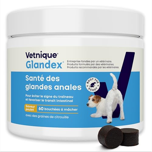 Glandex For Dogs UK - 60 Soft Chews - Vet-Formulated Anal Gland Support For Digestive Health - With Probiotics for Dogs, Omega-3s, Pumpkin & Fibre - Dog Probiotics for Gut Health - Boot The Scoot