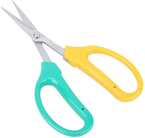 Potted Fruit Branch Shears Stainless Steel Bonsai Shears Curved Blade Shears Fruit Picking Scissors, Grape Pruning Shears, for Gardens, Bonsai Fruit Trees
