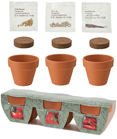 Mini vaso di terracotta trio con semi di verdure, pomodoro, fragola, peperoncino e cocco, regalo perfetto per amici e parenti