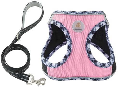Hipubby Dog Harness Small Sized and Leash Set, No Pull Soft Mesh Puppy Vest, Reflective Breathable Lightweight Pet Harness, Harness for Small Medium Dogs and Cats - Black Pink, XS