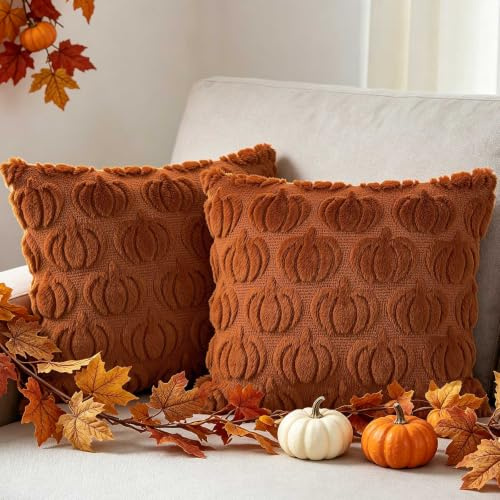 Benjia 2 stycken höstörngott, Kuddfodral Höst 50 x 50 cm Pumpakudde höstdekoration dekorativt pumpa örngott för Inomhus Utomhus Halloween Thanksgiving Trädgård Hem Vardagsrum Sovrum Soffa (Roströd)