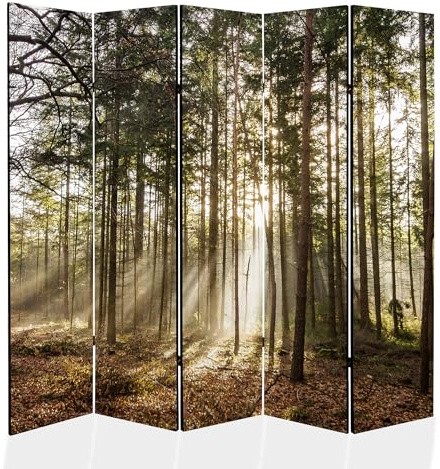 Inramat koncept – Paravent rumsavdelare trä 225 x 172 cm, 5 delar på båda sidor, insynsskydd
