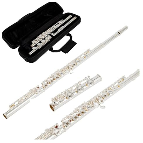 tvärflöjt instrument Flöjt 17 tangenter Flöjt Nybörjarflöjt