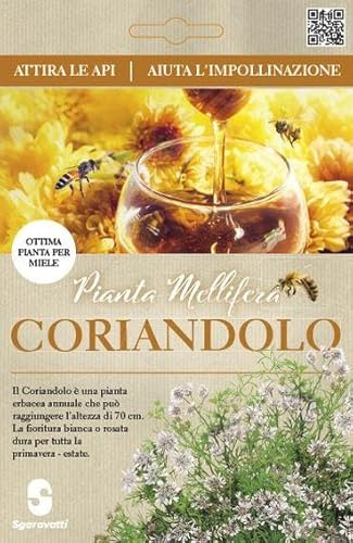 Semi di Coriandolo Mellifera per Api, Coriandrum sativum, Prezzemolo Cinese Cilantro per nutrire api in modo naturale o Produzione Miele di Qualità