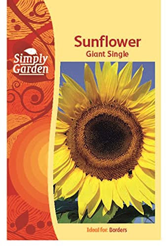 Simply Garden Sunflower Giant Single Seeds for Planting UK Grow Your Own Flowers