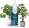 The Natural Plant Food Company | Tend House Plant Feed - 100% Natural Indoor Plant Food - With Essential Nutrients - Pet & Wildlife Friendly - Free from Peat & Synthetic Chemicals - 250ml