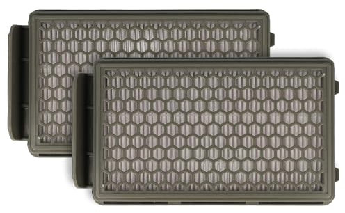 vhbw 2x filtre compatible avec Rowenta RO3799EA, RO3923EA, RO392, RO3799EA / 4Q0, RO3927EA aspirateur - Filtre HEPA contre les allergies