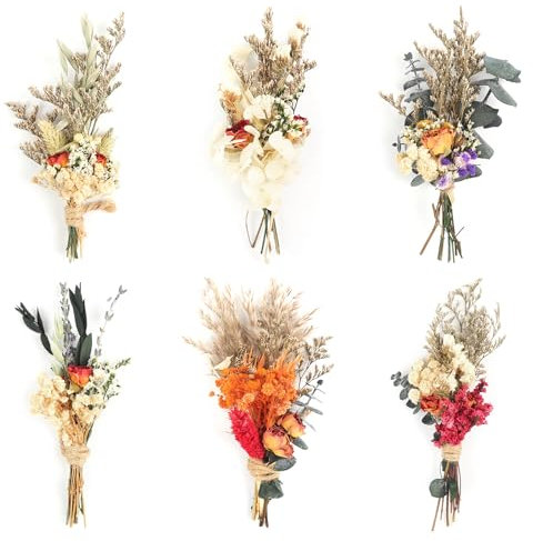 6Stück Mini Boho Getrocknete Blume Bouquet Trockenblumen Kleine Blumensträuße Mini Natürliche Echte Pflanzen für Hochzeit Tisch Mittelstücke Geschenkbox Kuchen Dekor Home Vase Dekor DIY Handwerk(08)