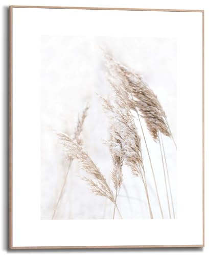 REINDERS Gerahmtes Bild, Pampasgras, Wohnzimmer, Bilder, Wanddeko, Room Decor, MDF, Weiß, 50x40cm