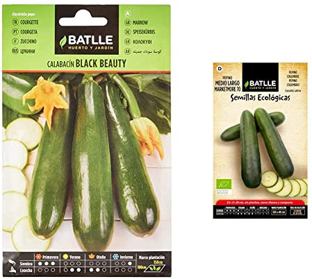 Semillas Batlle Calabacin BLACK BEAUTY & Pepino Marketmore 70 - ECO